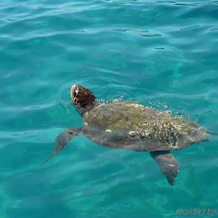 Vossos Лаганас